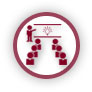 Docenti